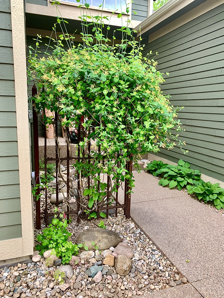 Woodland Park Townhomes HOA, Fort Collins, Colorado