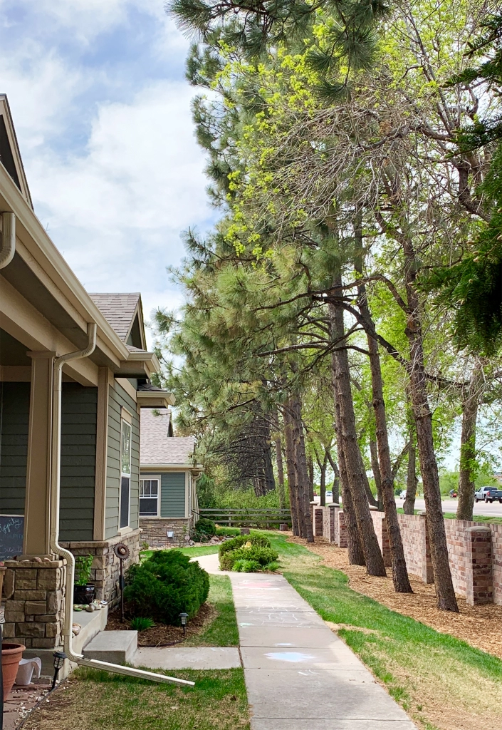 Woodland Park Townhomes HOA, Fort Collins, Colorado
